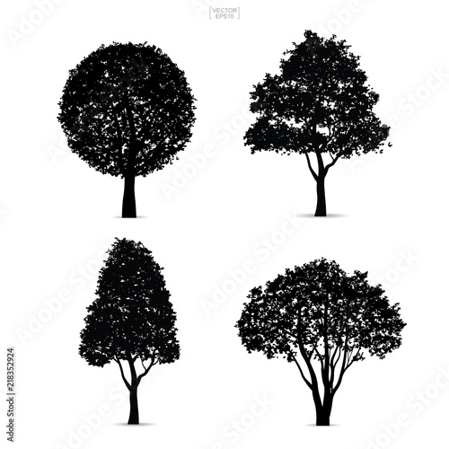 Fototapeta Naklejka Na Ścianę i Meble -  Set of tree silhouettes isolated on white background for landscape design and architectural compositions with backgrounds. Vector.