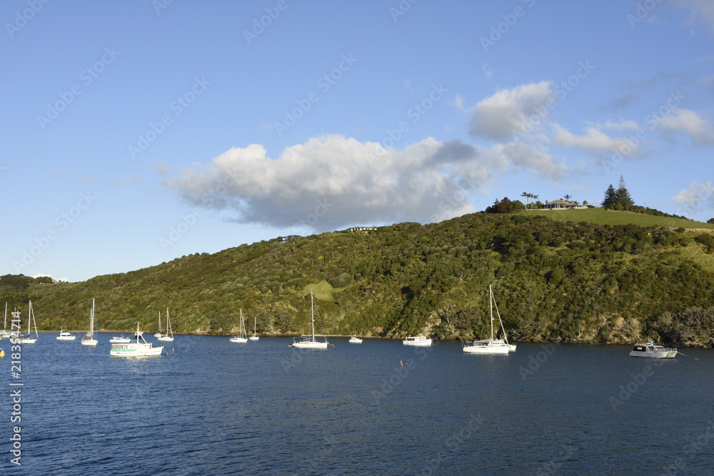 Obraz premium Auckland Harbour, New Zealand