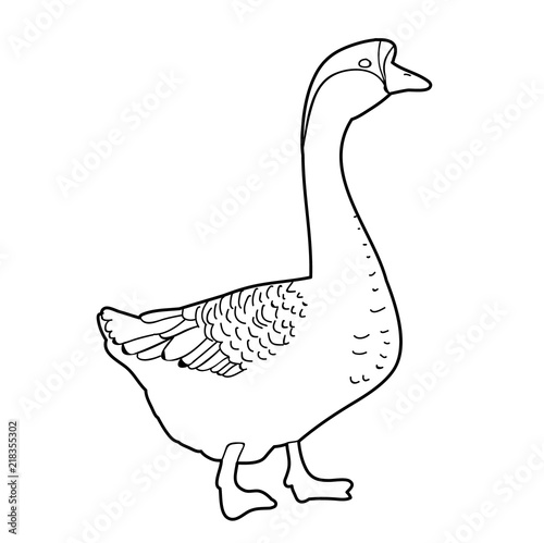 sketch of a goose on a white background