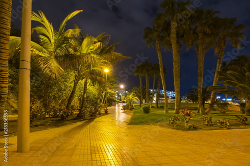 Promenade in Costa Adeje at night, Tenerife, Canary islands, Spain