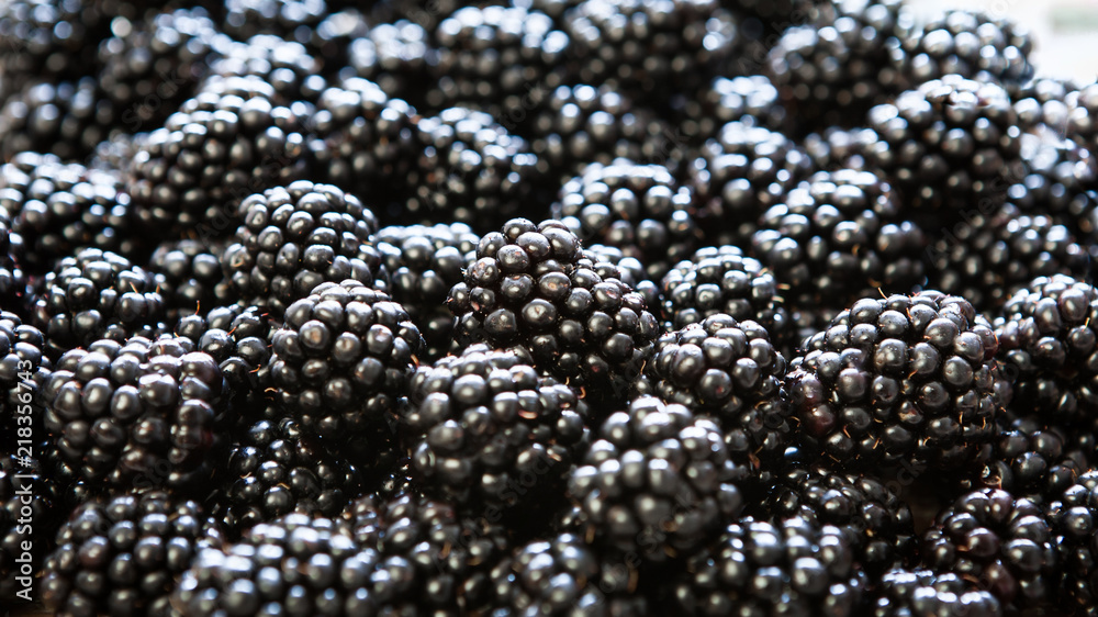 Pile of delicious blackberries Pile of delicious blackberries