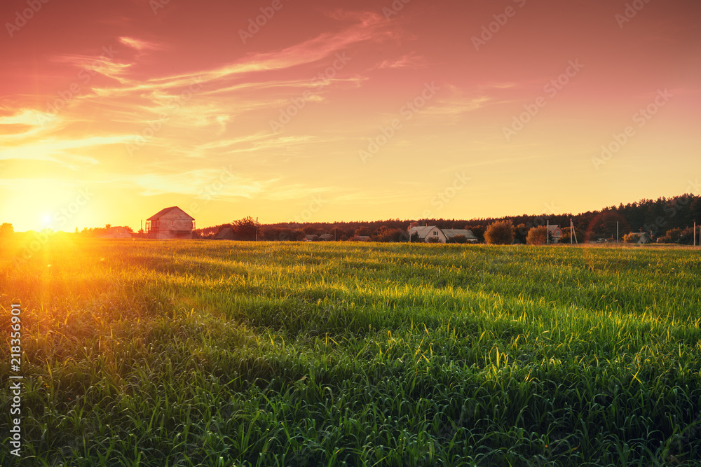 Rural landscape with beautiful gradient evening sky at sunset. Green field and village on horizon 