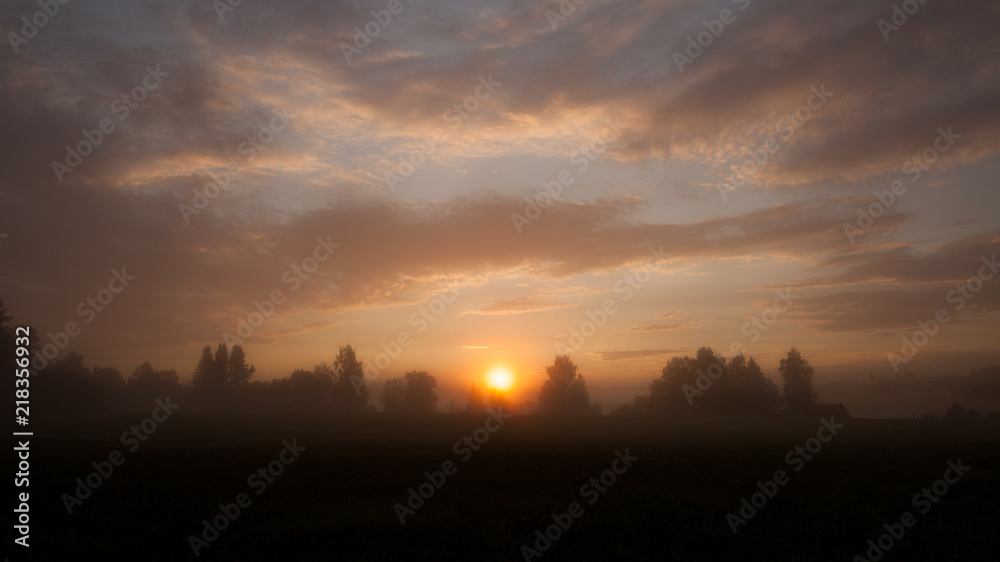 Tranquil foggy grassland and trees at sunrise