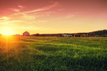 Rural landscape with beautiful gradient evening sky at sunset. Green field and village on horizon 