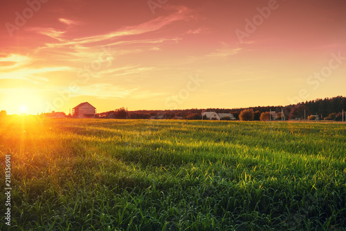 Rural landscape with beautiful gradient evening sky at sunset. Green field and village on horizon © vvvita
