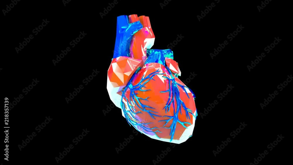 Machine heart, artificial human organs, organisms creation