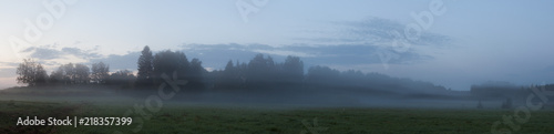 Misty meadow landscape at dawn