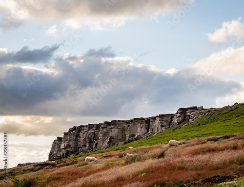 Rock formations with sheep in the Peak District of England