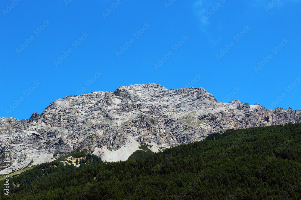 Naklejka premium Mountain without snow partially covered by a forest against clear blue sky in summer