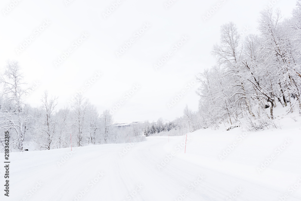 Arctic road with snowcovered forest in during polar night, Balsfjord, Norway. Arctic road with snowcovered forest in during polar night, Balsfjord, Norway.