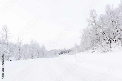 Arctic road with snowcovered forest in  during polar night, Balsfjord, Norway. photo