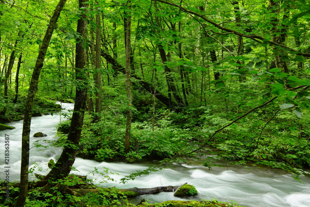 Obraz premium 急流