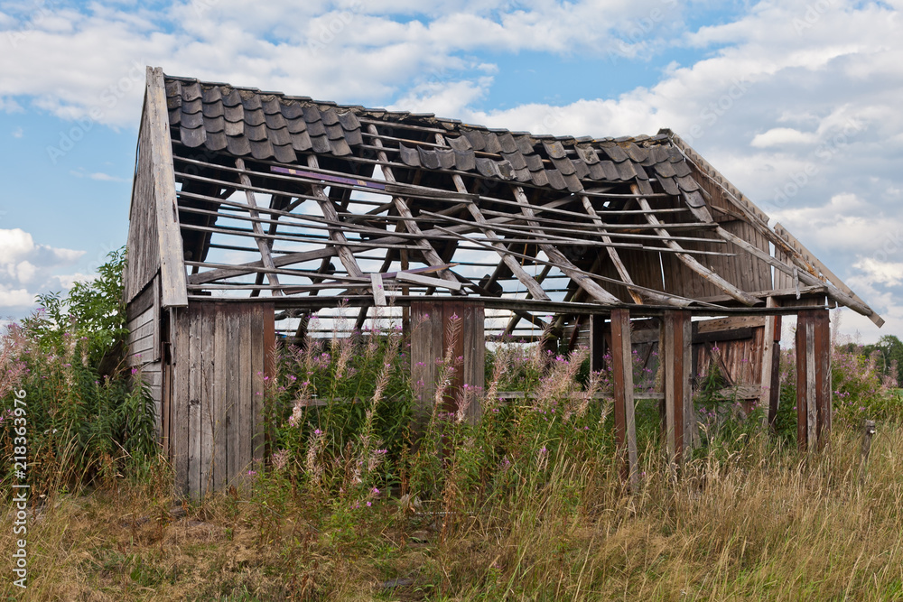 Old decaying barn in the middle of a grassland field with missing walls and holes in the roof on a sunny day with blue sky and clouds
