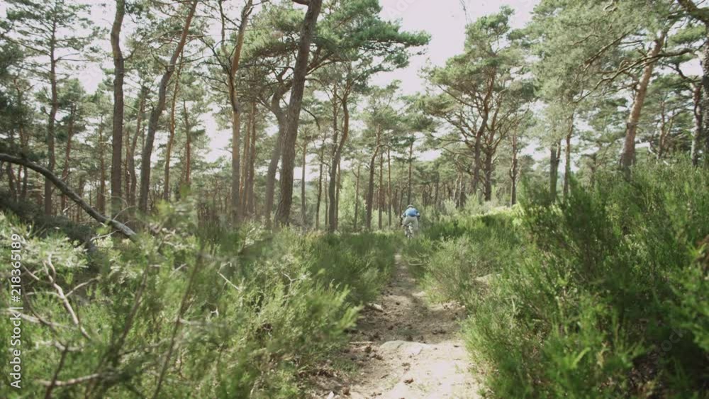 a trail in forest, a mountain biker rides fast throgh this path a trail in forest, a mountain biker rides fast throgh this path