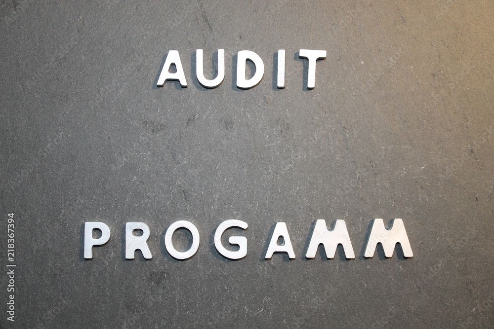 Fototapeta premium Audit Programm