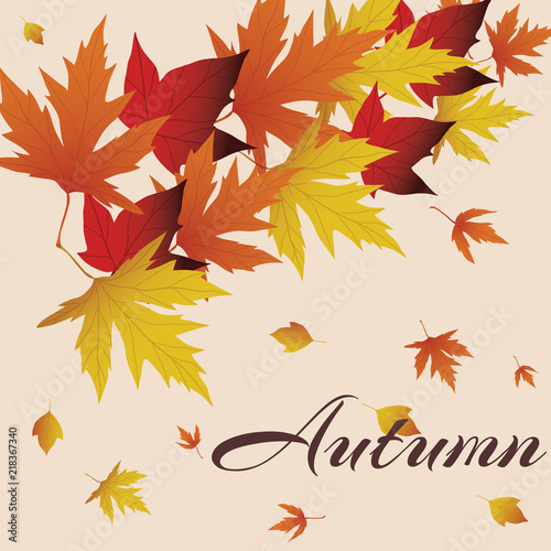 Vector background with red  orange  brown and yellow falling autumn leaves. Templates for posters  banners  flyers  presentations  reports. Autumn leaves. Hello  Autumn. Autumn design.