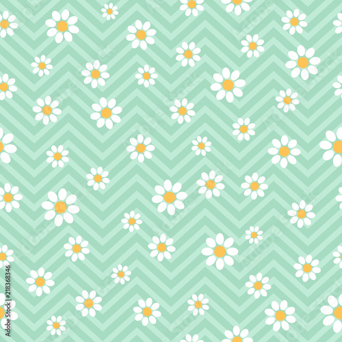 Seamless pattern with daisies. Vector floral pattern.
