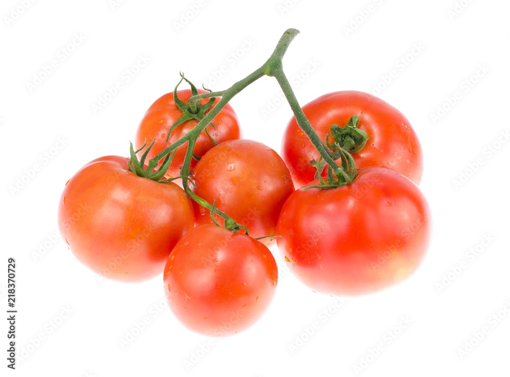 Branch of ripe red tomatoes on white background Branch of ripe red tomatoes on white background