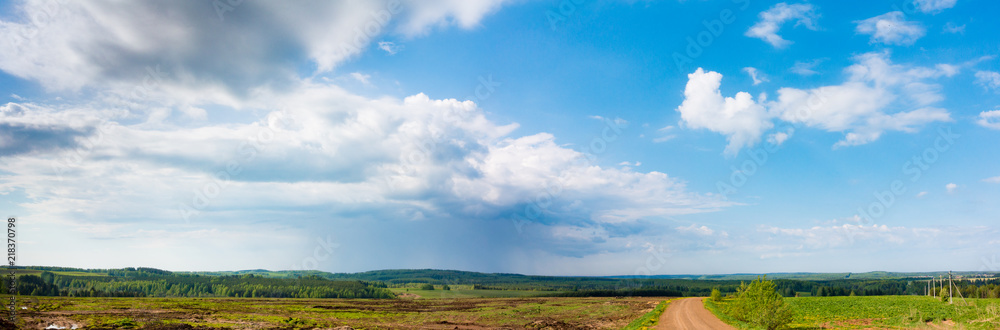 Panorama of rapeseed field and road