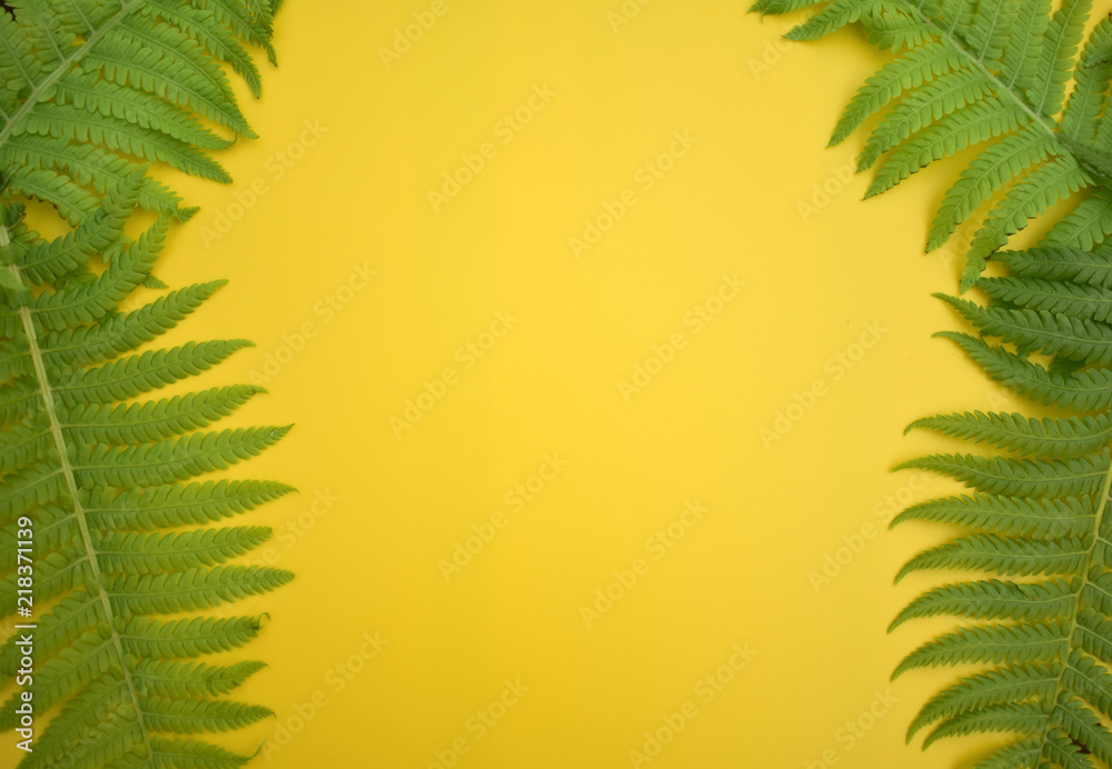 Yellow background with fern branches