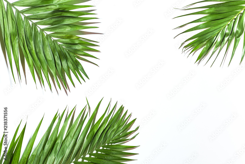 Frame of tropical leaves palms on white background a space for text. Isolated. Top view, flat lay Frame of tropical leaves palms on white background a space for text. Isolated. Top view, flat lay