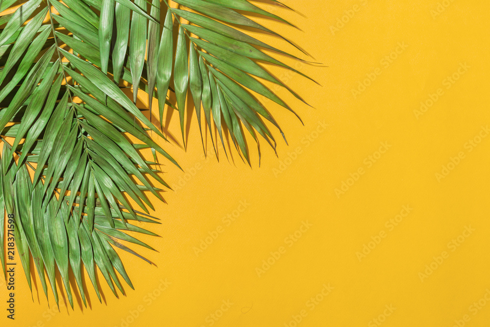 Frame of tropical leaves palms on yellow background a space for text. Top view, flat lay