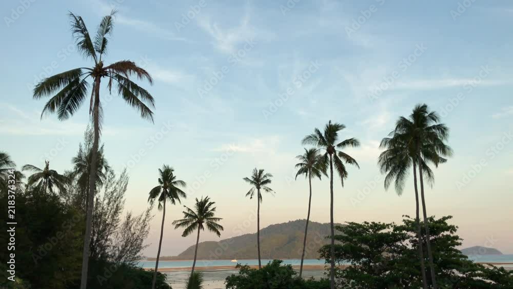 Beautiful seaside landscape featuring many palm trees. Phuket, Thailand. Beautiful seaside landscape featuring many palm trees. Phuket, Thailand.
