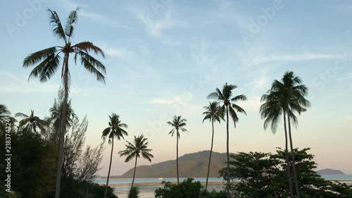 Wallpaper Mural Beautiful seaside landscape featuring many palm trees. Phuket, Thailand. Torontodigital.ca