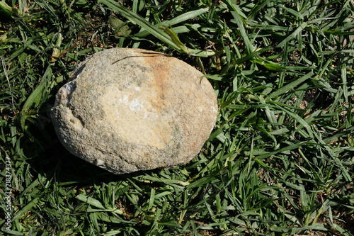 Rock on grass