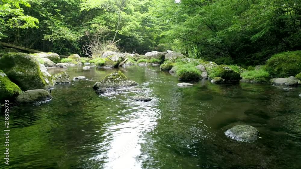 渓流　ドローン撮影