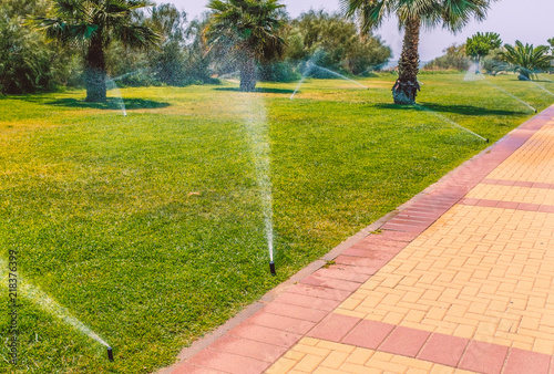Wallpaper Mural irrigation sprays watering a grass and palm tree public area along a promenade, Isla Canela, Ayamonte, Spain, Torontodigital.ca