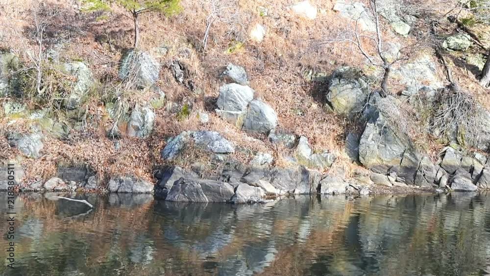 Great Falls National Park, USA river reflection in Virginia and Maryland, water ripples in winter season, brown foliage Great Falls National Park, USA river reflection in Virginia and Maryland, water ripples in winter season, brown foliage