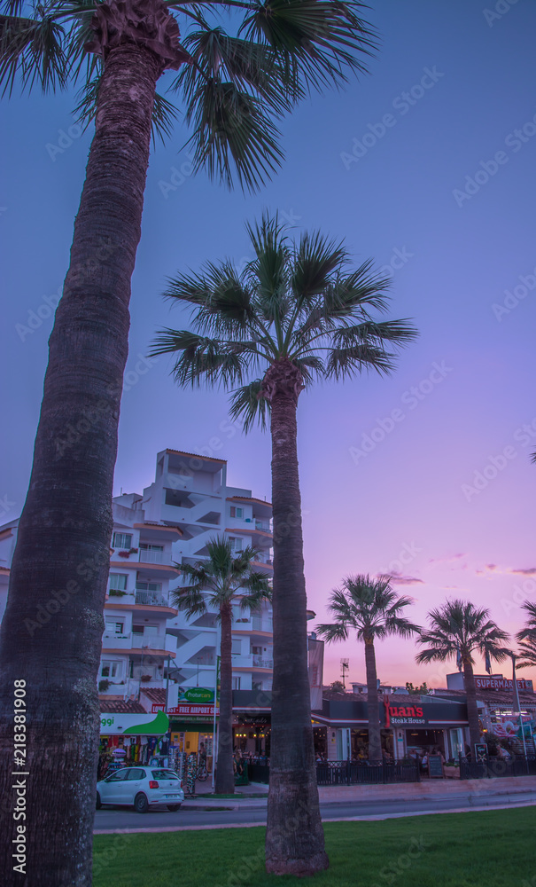 Obraz premium Palm Sunset Mallorca