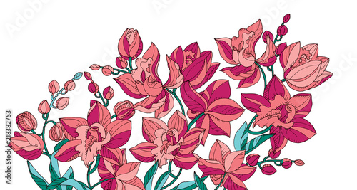 Sketch style line-art pink orchid flowers