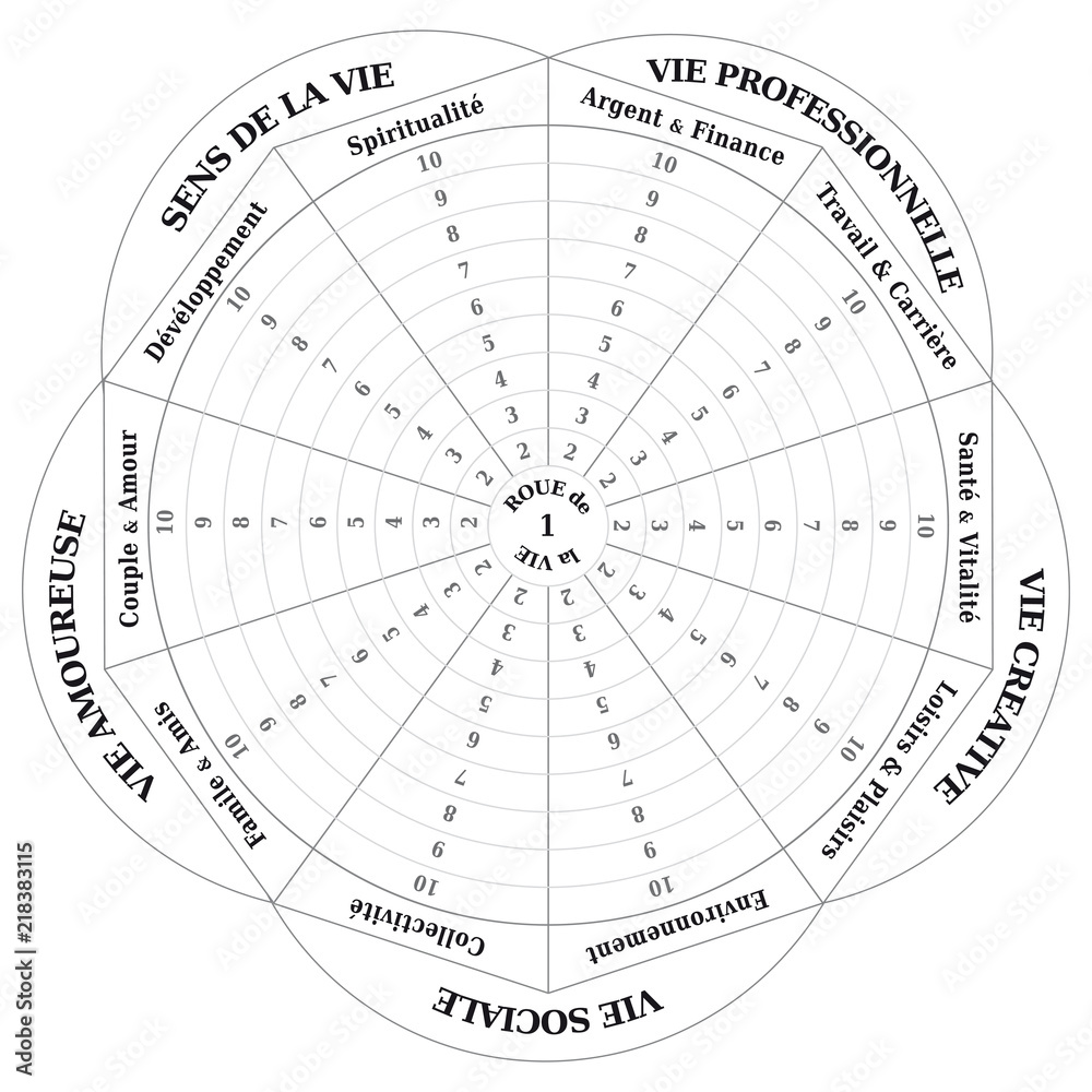 Roue de la Vie - Diagramme - Outils de Coaching - en Français - Noir et  Blanc Stock Vector | Adobe Stock