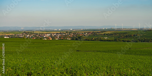 Blik auf Westhofen Wonnegau Rheinhessen im Hintergrund Odenwald photo