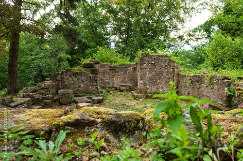 Ruines de la chapelle Saint Jacques en foret vosgienne, Abbaye de Niedermunster, Alsace, France