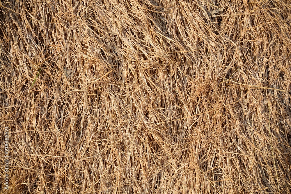 closeup straw at roof hut in the countryside closeup straw at roof hut in the countryside