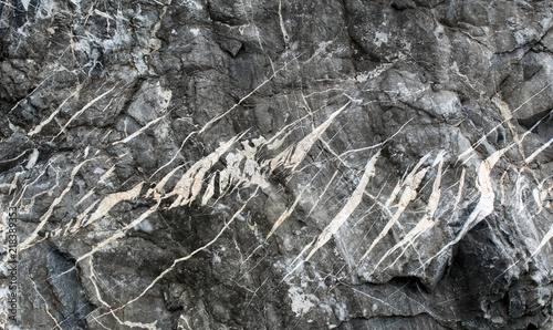 Tension gashes (en echelons veins) filled by calcite and quartz on a rock boulder photo