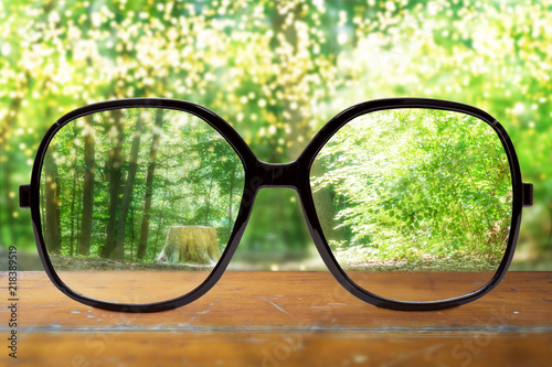 Fototapeta Naklejka Na Ścianę i Meble -  Brille mit Wald Hintergrund. Klare Sicht.