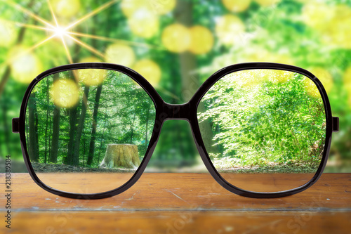 Fototapeta Naklejka Na Ścianę i Meble -  Brille mit Wald Hintergrund bei sonnigem Wetter