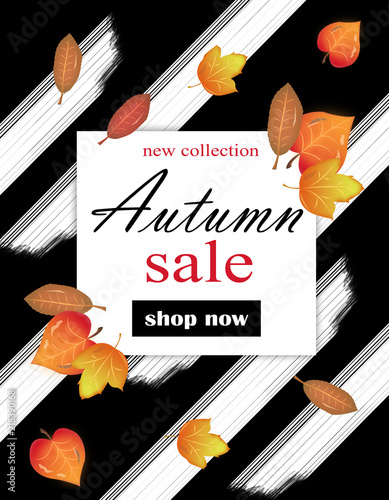 Sale autumn banner, background, flyer.Vector illustration.Iinvitation card template design. photo