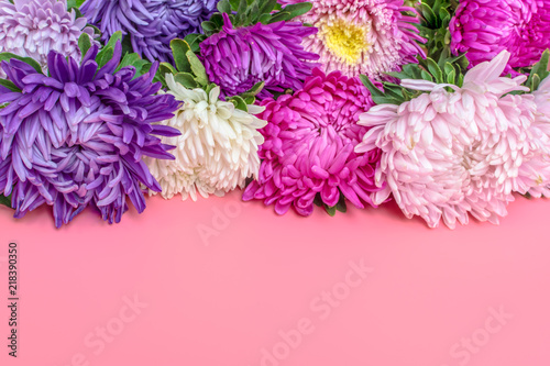 Fototapeta Naklejka Na Ścianę i Meble -  Beautiful Aster Flowers, notepad on pastel pink color background mock up with copy space for your text. Flat lay, top view Concept of spring, summer and autumn