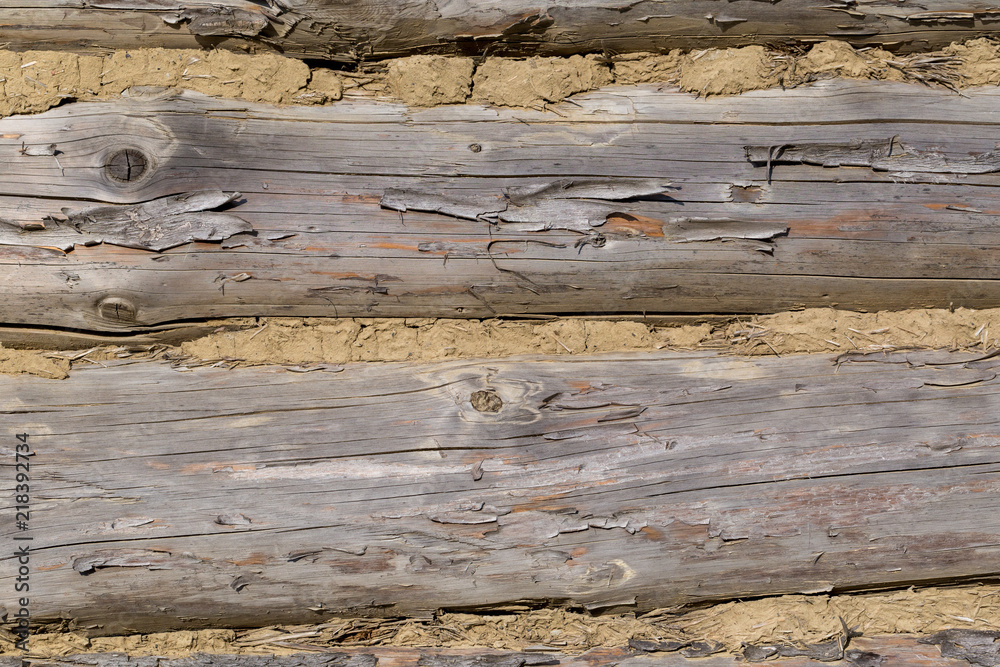 Naklejka premium Old wooden home wall background, log house with clay seal close up