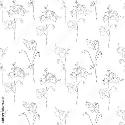 Aquilegia flower illustration isolated on white background, Seamless floral vector pattern, decorative line art texture for design greeting card, wedding invitations, cosmetic beauty, wallpaper © m_e_l
