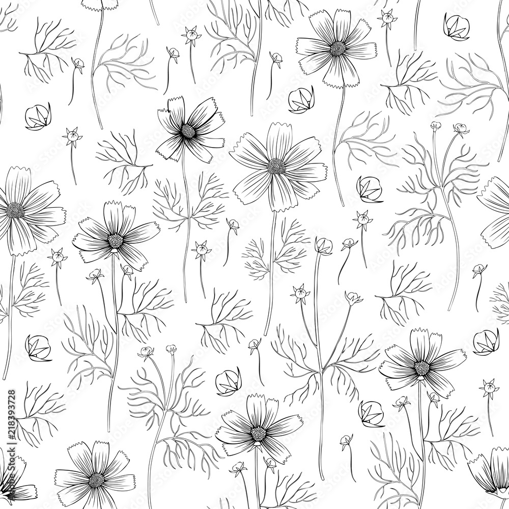 Seamless floral vector pattern, Kosmos flower, kosmeya hand drawn ink sketch, illustration, wild flower astra, design for greeting card, wedding invitation, cosmetic packaging, beauty salon, wallpaper