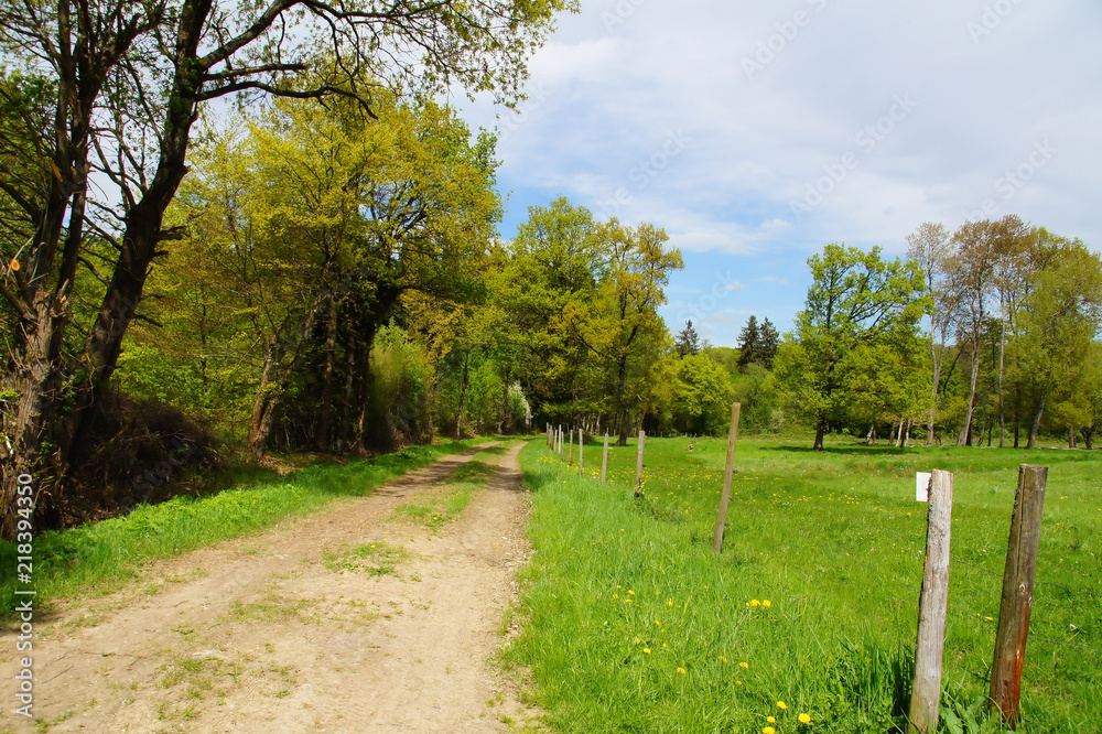Weg zwischen Wald und Feld bei Hirschfeld im Hunsrück
