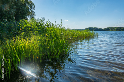 Krakower See, Krakow am See, Mecklenburgische Seenplatte, Schilf, Sonnenreflexe