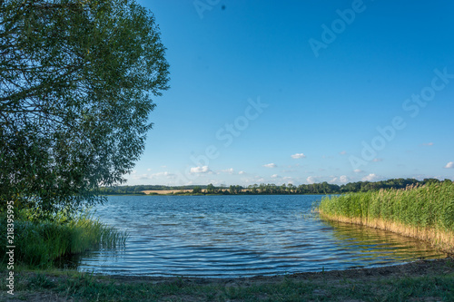 Traumhafte Badebucht, Krakower See, Krakow am See, Mecklenburgische Seenplatte photo