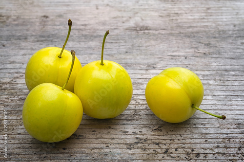 Yellow Cherry plum (Prunus cerasifera). photo